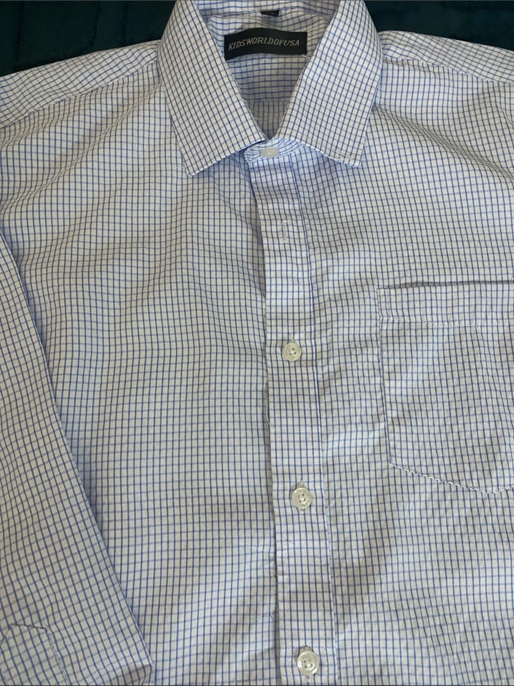 Blue Checked Button-Down Shirt for Kids